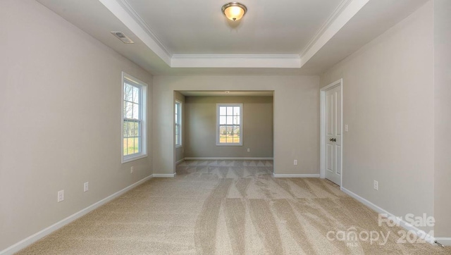 carpeted empty room with plenty of natural light, a tray ceiling, and ornamental molding