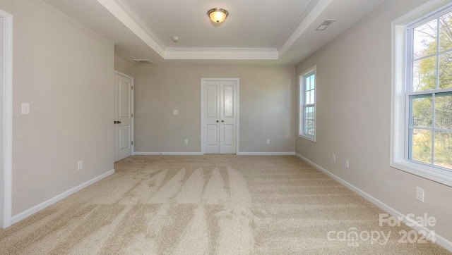 empty room with a healthy amount of sunlight, light colored carpet, crown molding, and a tray ceiling