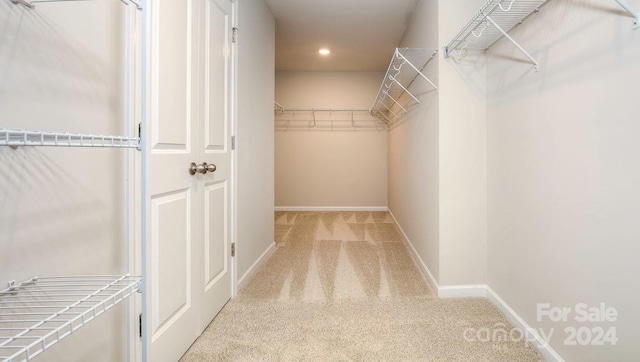 walk in closet with light carpet