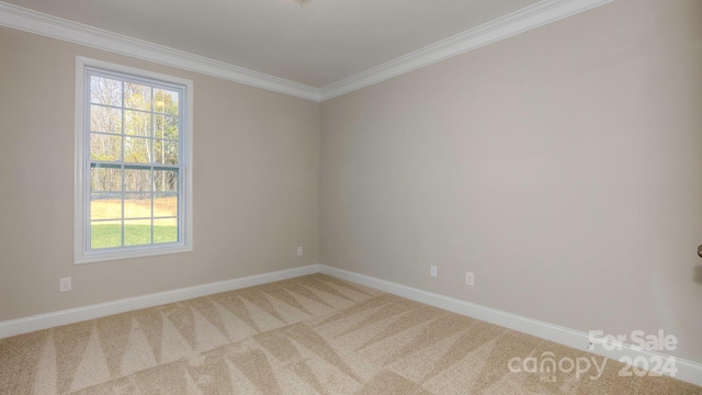 spare room featuring ornamental molding, carpet floors, and a healthy amount of sunlight