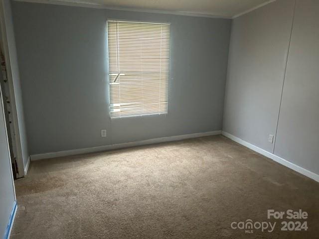 carpeted spare room featuring ornamental molding