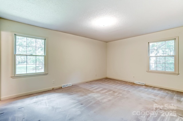 unfurnished room with light colored carpet and a textured ceiling