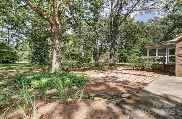 view of yard featuring a patio area