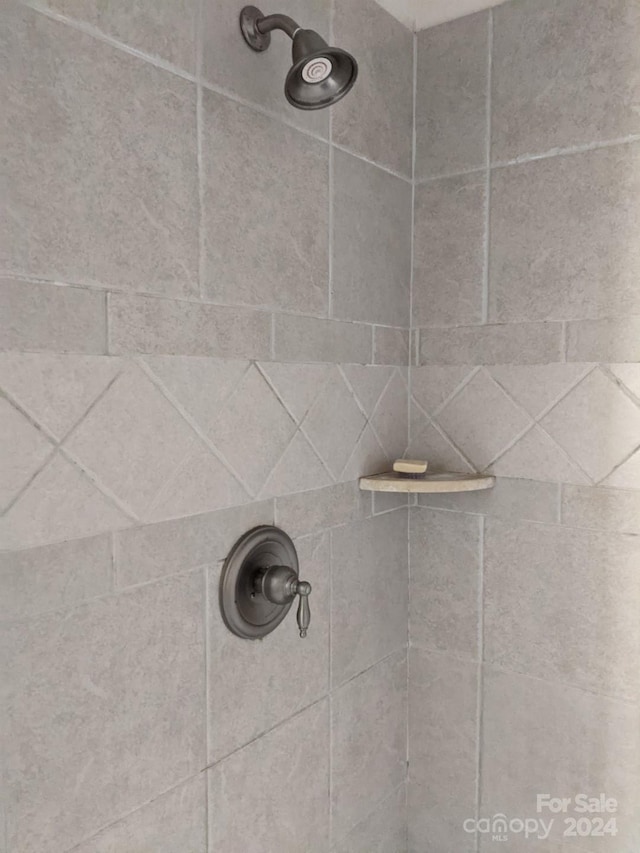 details featuring a tile shower