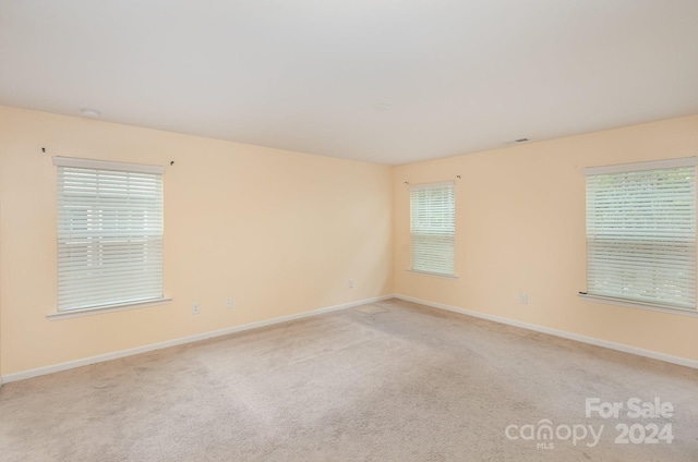 carpeted spare room with plenty of natural light