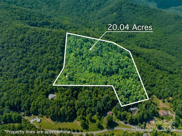 00 Warren Creek Rd, Candler NC, 28715 land for sale