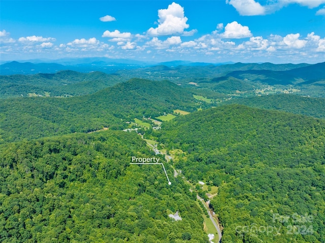 Listing photo 2 for 00 Warren Creek Rd, Candler NC 28715