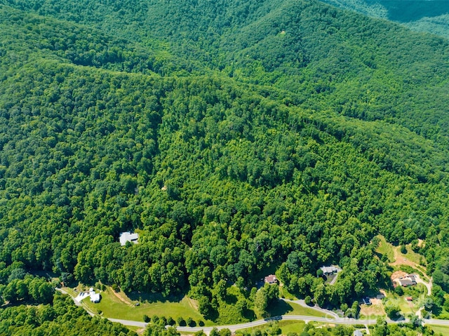 00 Warren Creek Rd, Candler, NC 28715