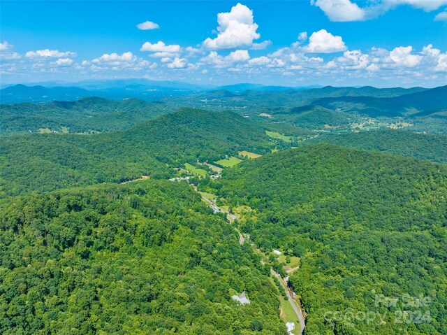 00 Warren Creek Rd, Candler, NC 28715
