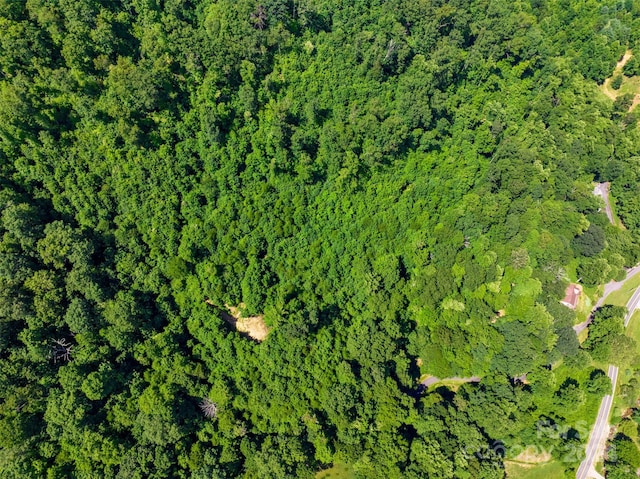 00 Warren Creek Rd, Candler, NC 28715