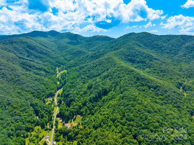 00 Warren Creek Rd, Candler, NC 28715