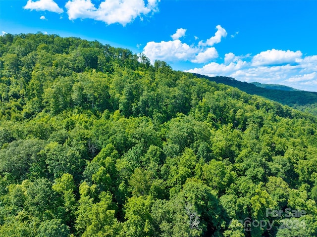 00 Warren Creek Rd, Candler, NC 28715