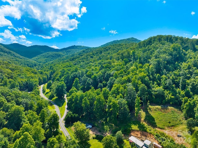 00 Warren Creek Rd, Candler, NC 28715