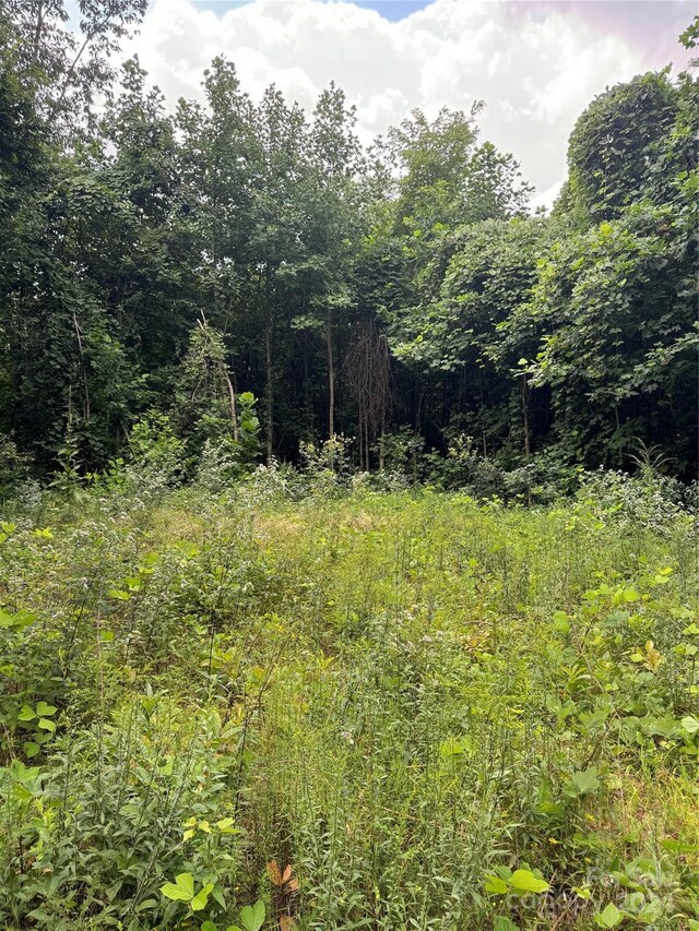 00 Warren Creek Rd, Candler, NC 28715