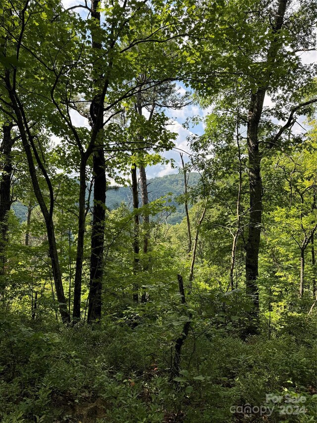 00 Warren Creek Rd, Candler, NC 28715