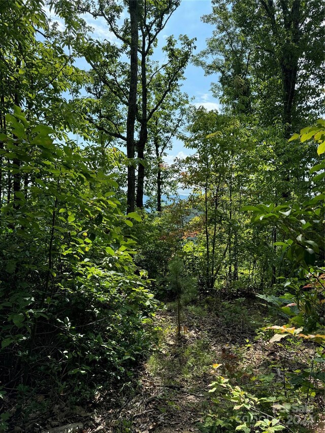 00 Warren Creek Rd, Candler, NC 28715