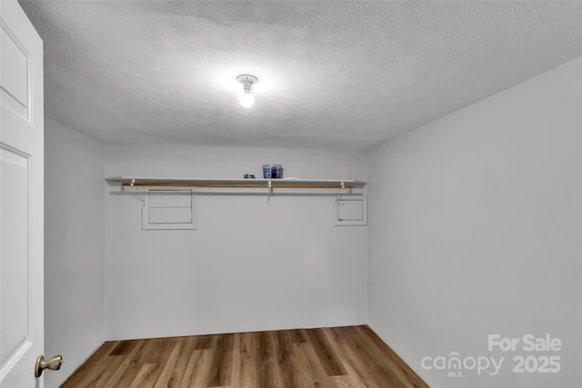 walk in closet featuring wood-type flooring