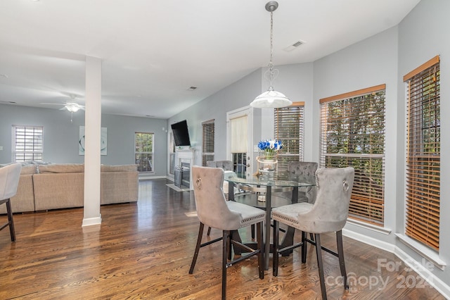 dining room featuring ceiling fan, plenty of natural light, and dark hardwood / wood-style floors