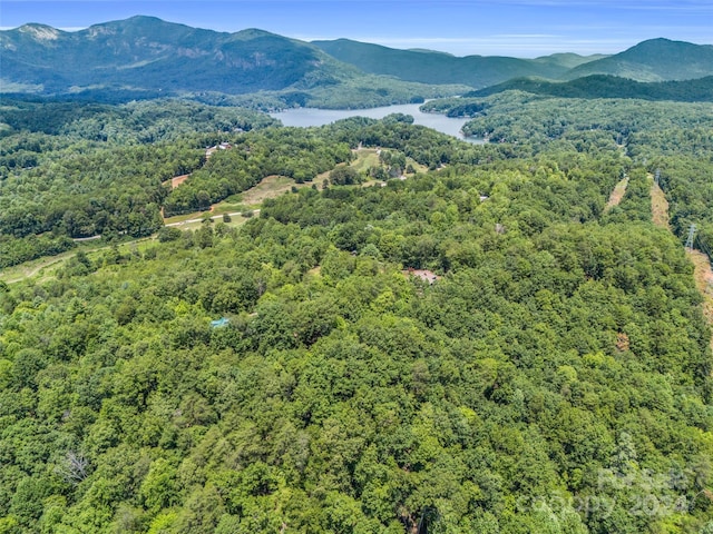 birds eye view of property with a water and mountain view