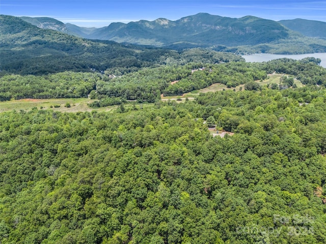 view of mountain feature with a water view