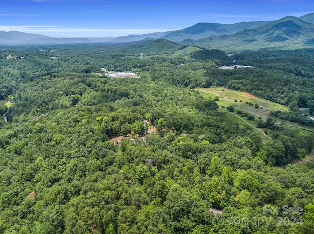 bird's eye view with a mountain view