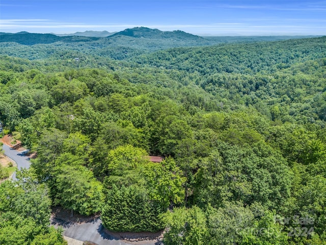 birds eye view of property featuring a mountain view