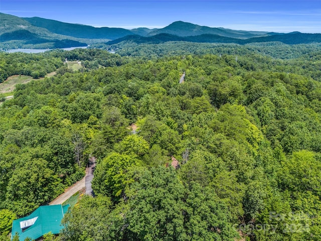 drone / aerial view with a mountain view