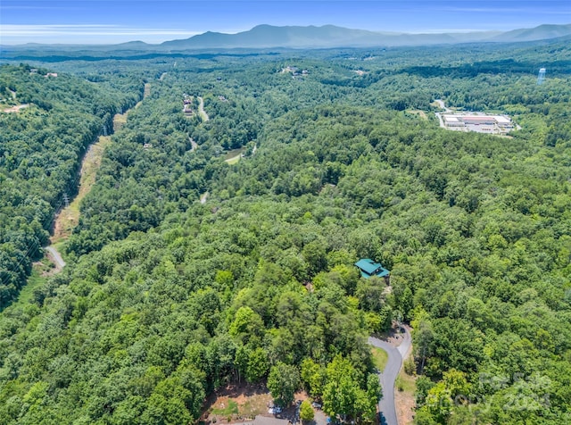 bird's eye view with a mountain view