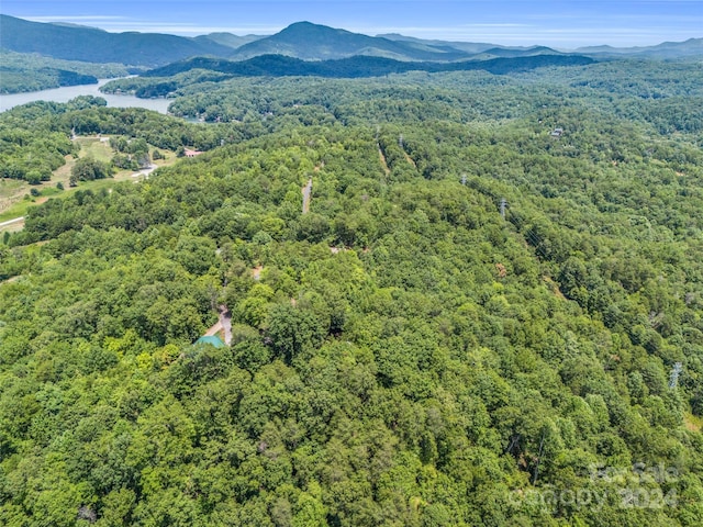 aerial view with a water and mountain view