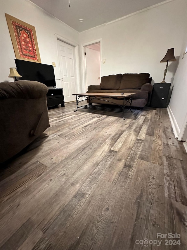 living room featuring hardwood / wood-style floors