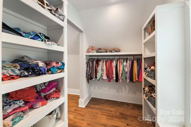 spacious closet featuring dark wood-type flooring