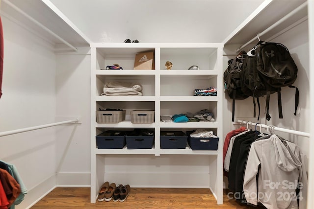 spacious closet with wood-type flooring