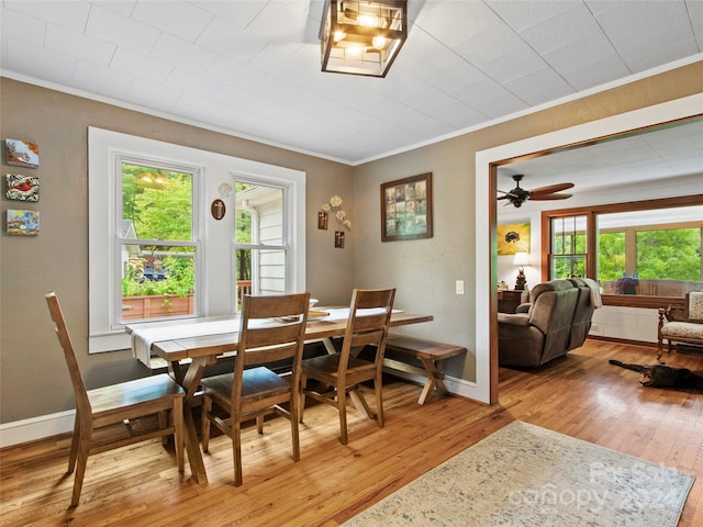 dining space featuring crown molding, light wood-type flooring, and ceiling fan