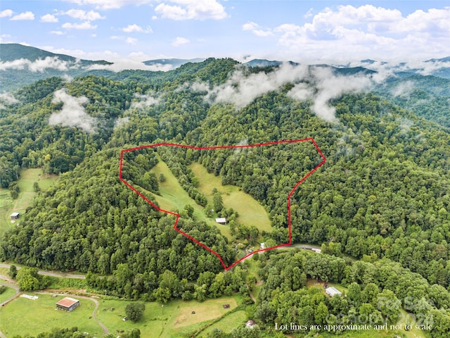 birds eye view of property featuring a forest view and a mountain view