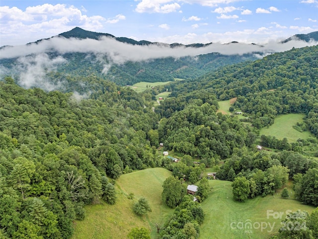 bird's eye view featuring a mountain view and a wooded view