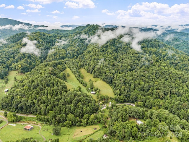 aerial view with a mountain view and a view of trees