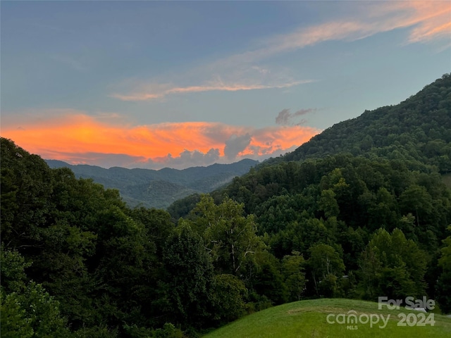 mountain view featuring a forest view