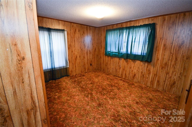 unfurnished room featuring a textured ceiling, carpet floors, wood walls, and a wealth of natural light