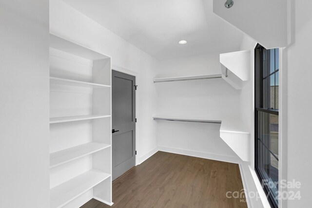 walk in closet featuring dark wood-type flooring