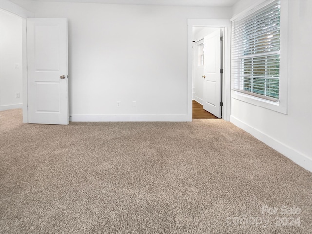 empty room featuring carpet