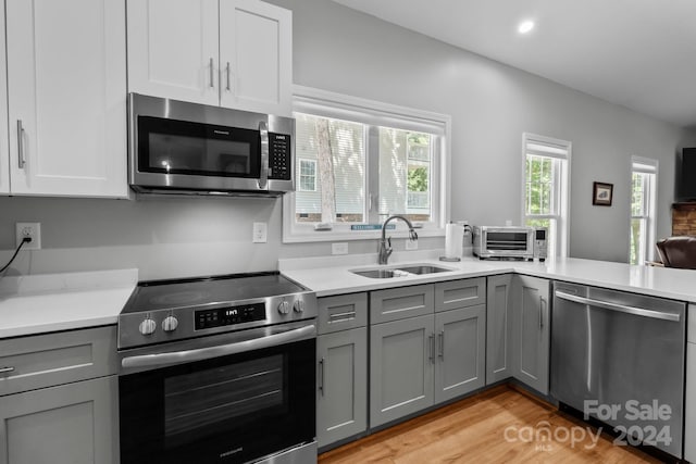 kitchen featuring gray cabinets, light hardwood / wood-style floors, appliances with stainless steel finishes, and sink