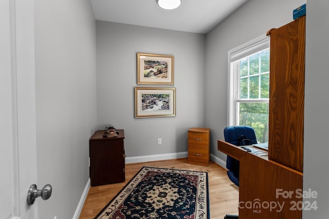 home office featuring light hardwood / wood-style floors