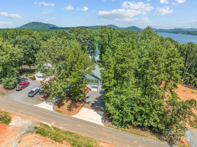 birds eye view of property featuring a mountain view