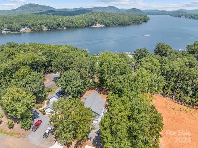 birds eye view of property featuring a water and mountain view