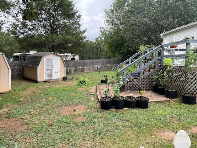 view of yard featuring a patio area and a storage unit