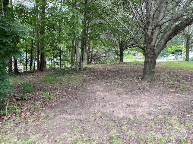6261 Burnhurst Ln, Denver, NC 28037 - view of yard