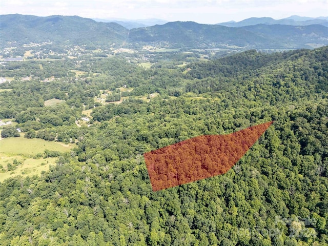 00 Aquarius Rd, Canton, NC 28716 - photo 3