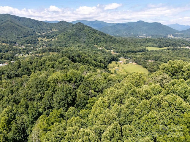 00 Aquarius Rd, Canton, NC 28716 - photo 6