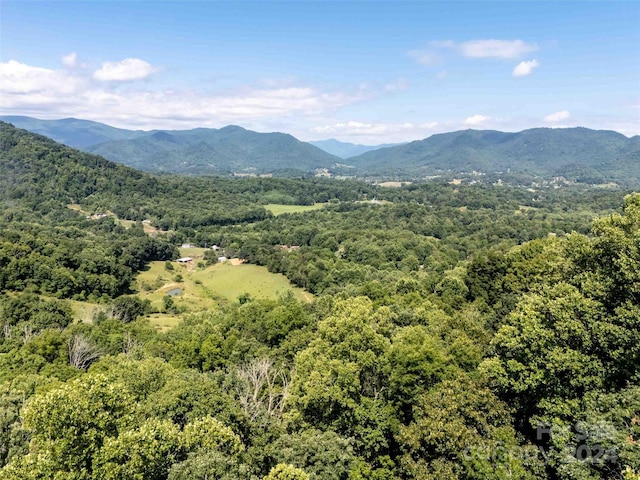 00 Aquarius Rd, Canton, NC 28716 - photo 7