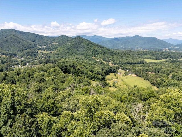 00 Aquarius Rd, Canton, NC 28716 - photo 8